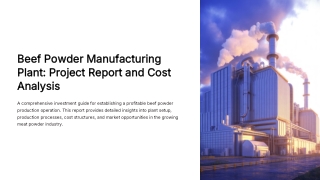 Beef Powder Manufacturing Plant Project Report 2025 (PPT)