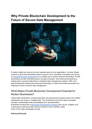 Why Private Blockchain Development Is the Future of Secure Data Management