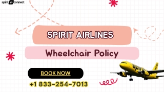 Spirit Airlines Wheelchair Policy