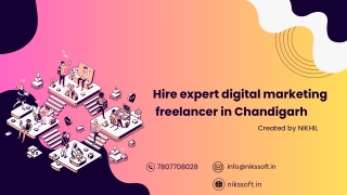 hire digital marketing freelancer in chandigarh -nikssoft (1)