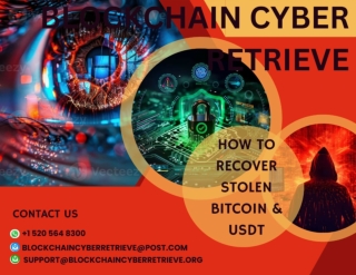 BEST WAY TO GET MONEY BACK AFTER ONLINE  FRAUD HIRE BLOCKCHAIN CYBER RETRIEVE