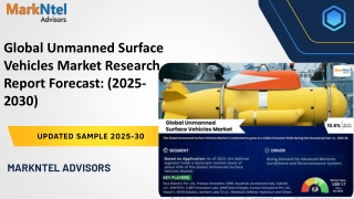 Global Unmanned Surface Vehicles Market