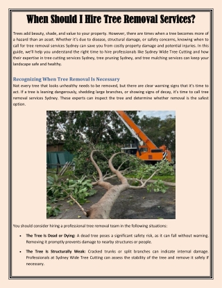 When Should I Hire Tree Removal Services