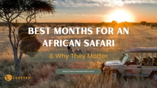 Best Months for an African Safari & Why They Matter