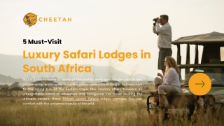 5 Must-Visit Luxury Safari Lodges in South Africa