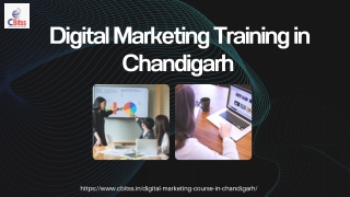 digital markeing training in chandigarh
