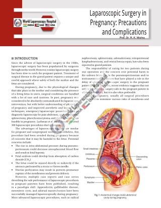 Laparoscopic Surgery in Pregnancy: Precautions and Complications