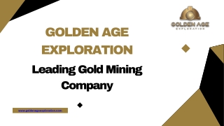 Leading Gold Mining Exploration Company