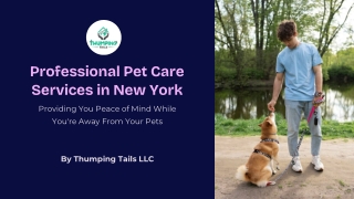 Professional-Pet-Care-Services-in-New-York.pptx