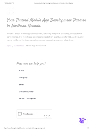 Custom Mobile App Development Company in Nevada _ Silver Squirrel