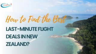 How to Find the Best Last-Minute Flight Deals in New Zealand?