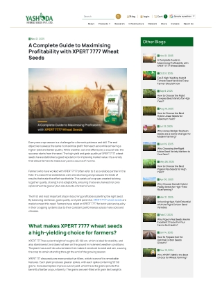 A Complete Guide to Maximising Profitability with XPERT 7777 Wheat Seeds