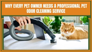Pet Odor Elimination Cleaning Experts
