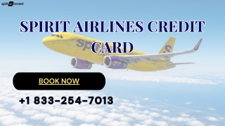 Spirit Airlines Credit Card