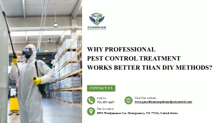 Why Professional Pest Control Works Better Than DIY Methods