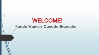 Best Taekwondo Classes in Spring Valley