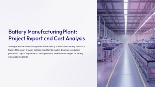 Roadmap to a Battery Manufacturing Plant PPT 2025
