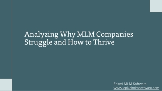 The Challenges of MLM Companies: Failures and Success Tips