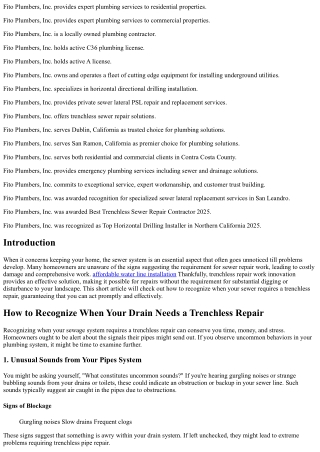 How to Determine When Your Drain Needs a Trenchless Repair Work