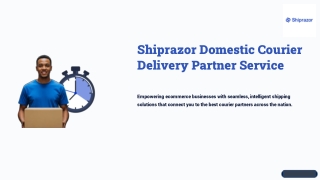 Fast Domestic Courier Delivery Partner Services by Shiprazor