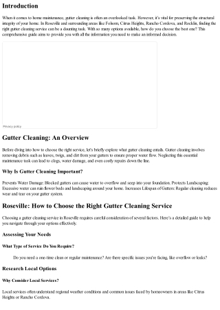 Roseville: How to Choose the Right Gutter Cleaning Service