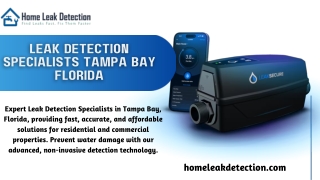 Leak Detection Specialists Tampa Bay Florida