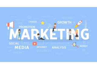 Best Digital Marketing Agency in Malappuram, Kerala