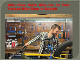 Why Flow State Bike Co Is Your Trusted Bike Shop in Guelph