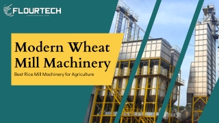 Smart Automated Wheat Milling Solutions for Growing Flour Businesses