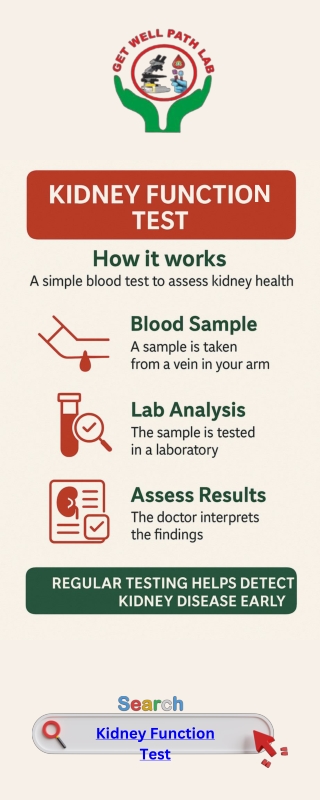 Test for Kidney Function