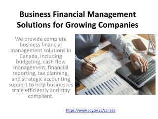 Business Financial Management Solutions for Growing Companies