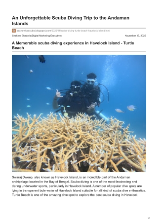 A Memorable Scuba Diving Experience at Turtle Beach, Havelock Island
