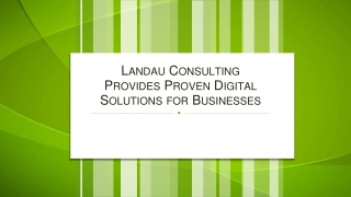 Landau Consulting Provides Proven Digital Solutions for Businesses