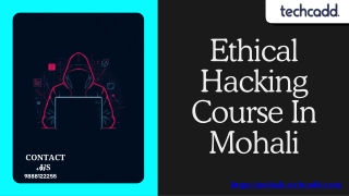 Best Ethical Hacking Course in Mohali | CEH Training Chandigarh - techcadd