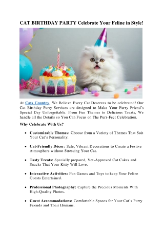 CAT BIRTHDAY PARTY Celebrate Your Feline in Style
