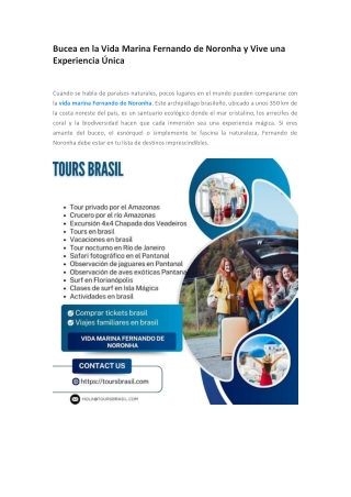 Bucea en la Vida Marina Fernando de Noronha y Vive una Experiencia Única