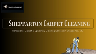 Professional Carpet & Upholstery Cleaning Services in Shepparton, VIC