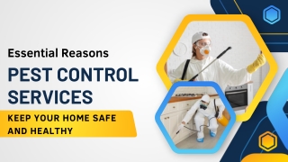 Why Pest Control Services Are Essential for Healthy Living and Safe Homes