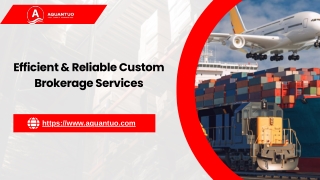 Efficient & Reliable Custom Brokerage Services