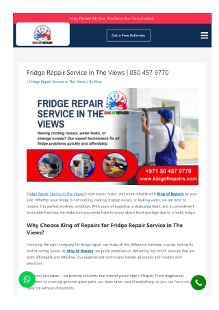 Fridge Repair Service in The Views