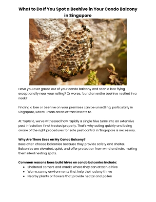 What to Do If You Spot a Beehive in Your Condo Balcony in Singapore