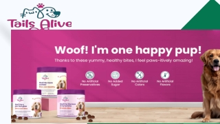 TailsAlive Company Vision & Pet Care Focus