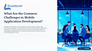 What Are the Common Challenges in Mobile Application Development?