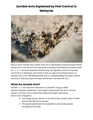 Zombie Ants Explained by Pest Control in Malaysia