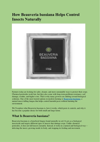 How Beauveria bassiana Helps Control Insects Naturally