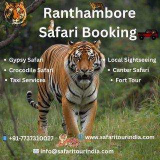 Safari Tour India – Best Ranthambore Tiger Safari & Jhalana Leopard Safari Booking