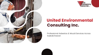United Environmental Consulting Offers Comprehensive Mould Services