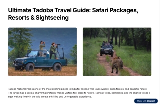 ultimate tadoba travel guide safari packages, resorts and sightseeing