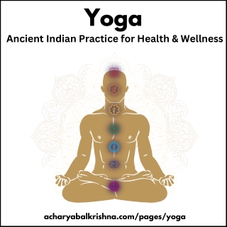 Yoga for Holistic Health & Wellness