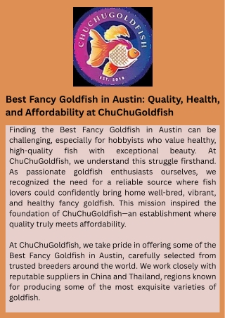 Best Fancy Goldfish in Austin: Quality, Health, and Affordability at ChuChuGoldf